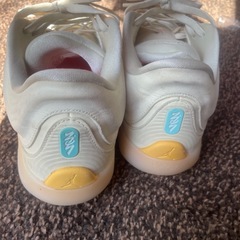 エアジョーダン1 ロー 型番：FDJ307-102の画像