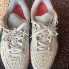 エアジョーダン1 ロー 型番：FDJ307-102の画像