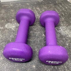 【プロアイロン PROIRON】【ダンベル】1.5KG クリーニング済み【管理番号12912】大の画像