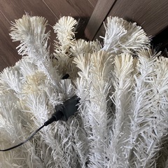 クリスマスツリー訳ありの画像