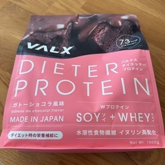 VALX ダイエッタープロテイン　ガトーショコラ