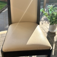 ダイニングチェア ワンピースの画像