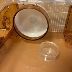 ハムスター　ケージの画像