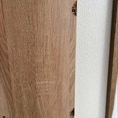 デスク&チェアの画像