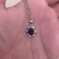 ネックレス
の画像