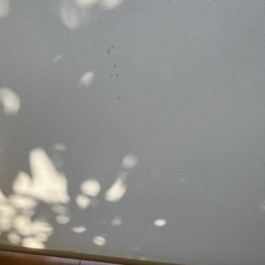 NITORI ロールカーテンの画像