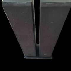 SS-CS3(2015年11月購入2本1組)の画像