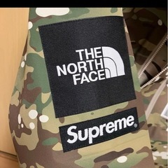 Supreme x The North Face Summit Series Rescue Mountain Pro Jacket "Multi Camo"の画像