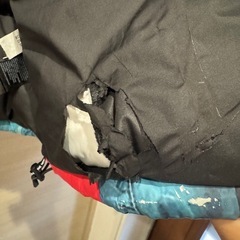 Supreme x The North Face Statue of Liberty Baltoro Jacket "Red"の画像