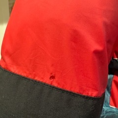 Supreme x The North Face Statue of Liberty Baltoro Jacket "Red"の画像