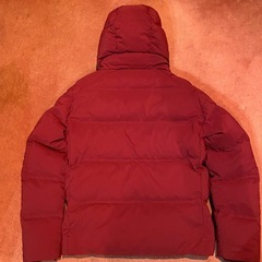 ユニクロ シームレスダウンパーカ Lの画像