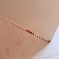 ホワイト！ガラスローテーブルの画像