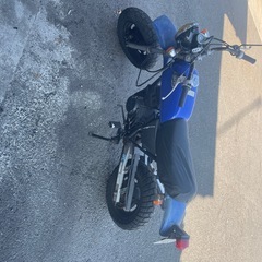 エイプ50の画像