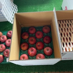 長野県 飯綱産ふじりんご　5kg  の画像