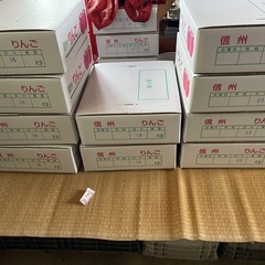 長野県 飯綱産ふじりんご　5kg  の画像