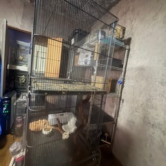 大型　小動物ケージ　　二段式の画像