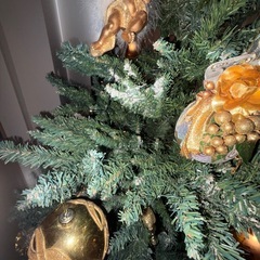 クリスマスツリー　の画像