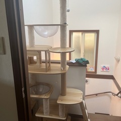 キャットタワーの画像