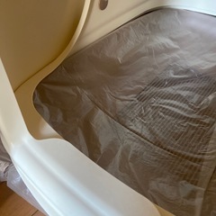 猫　システムトイレの画像