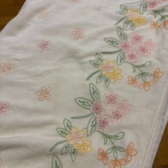 毛布2枚セットの画像