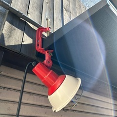 ライト(決まりました)の画像