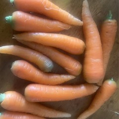 農薬なし自家植人参、大根ピンク大根、白菜、の画像