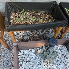 専用　　ベジトラグの画像