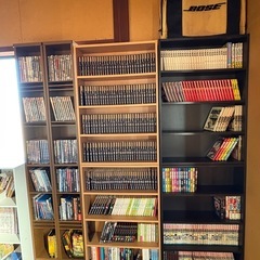 【まとめ売り】レーザーディスク、ラジオ、漫画、DVDの画像