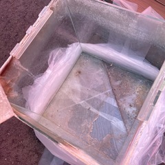 無料　水槽の画像