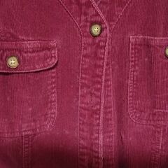 ワンピースの画像