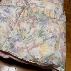 夏用薄手羽毛毛布の画像