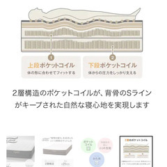 ニトリ セミダブルマットレス NスリープハードH1-02CR 美品の画像