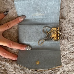 サマンサタバサのキーケース‼️⭐️の画像