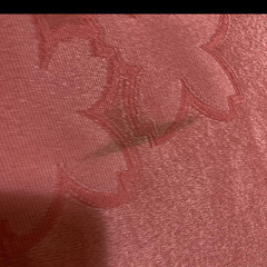 さが美　浴衣の画像