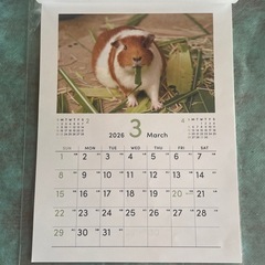 動物カレンダーの画像