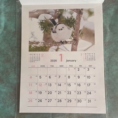 動物カレンダーの画像