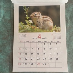 動物カレンダーの画像