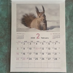 動物カレンダーの画像