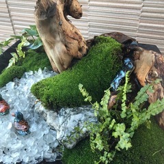 苔盆栽シリーズ　鳥　大作　鉢  1辺の長さ約39センチ　苔　シダ　流木　石の画像