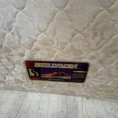 ベット マットレス
の画像