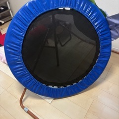 室内用鉄棒とトランポリンの画像