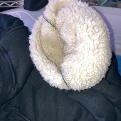 パーカースウェットしただけ
の画像