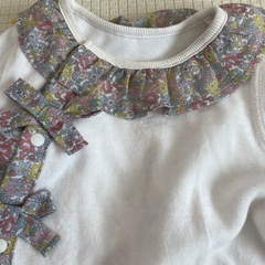 プティマインの画像