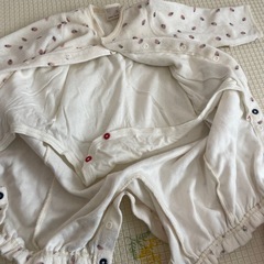 プティマインの画像