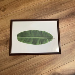 A2フォトフレーム12枚の画像