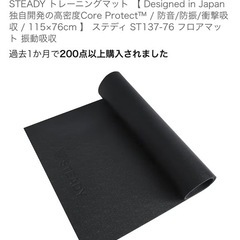 steady 懸垂セット
の画像