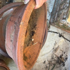 盆栽植木鉢大小の画像