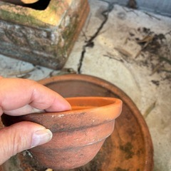 盆栽植木鉢大小の画像