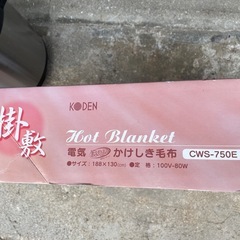 NO：5287  電気洗えるかけしき毛布‼️未使用超お買い得品❣️の画像