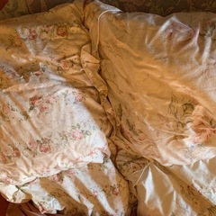 【引渡完了】羽毛布団の画像